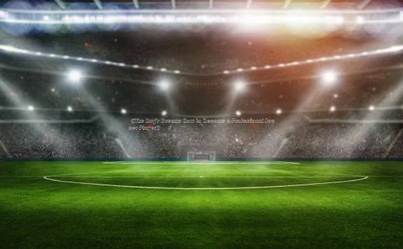 恒行注册官网入口百度翻译App《The Boy\'s Dream: How to Become a Professional Soccer Player》