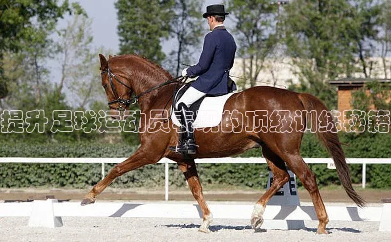 恒行官网登录入口爱慕股份提升足球运动员表现的顶级训练秘籍