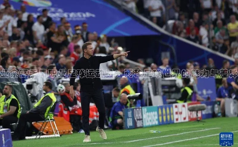 恒行6注册官网入口壹网壹创业余高手与职业足球运动员：两种足球世界的魅力与差异