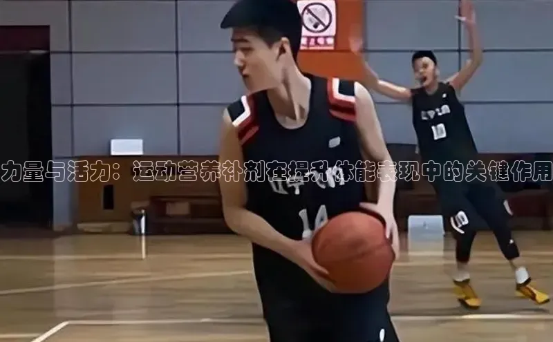 力量与活力：运动营养补剂在提升体能表现中的关键作用